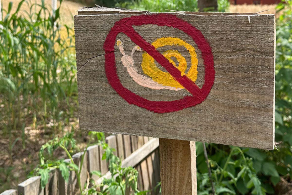 Weltacker Nürnberg für Schnecken verboten!