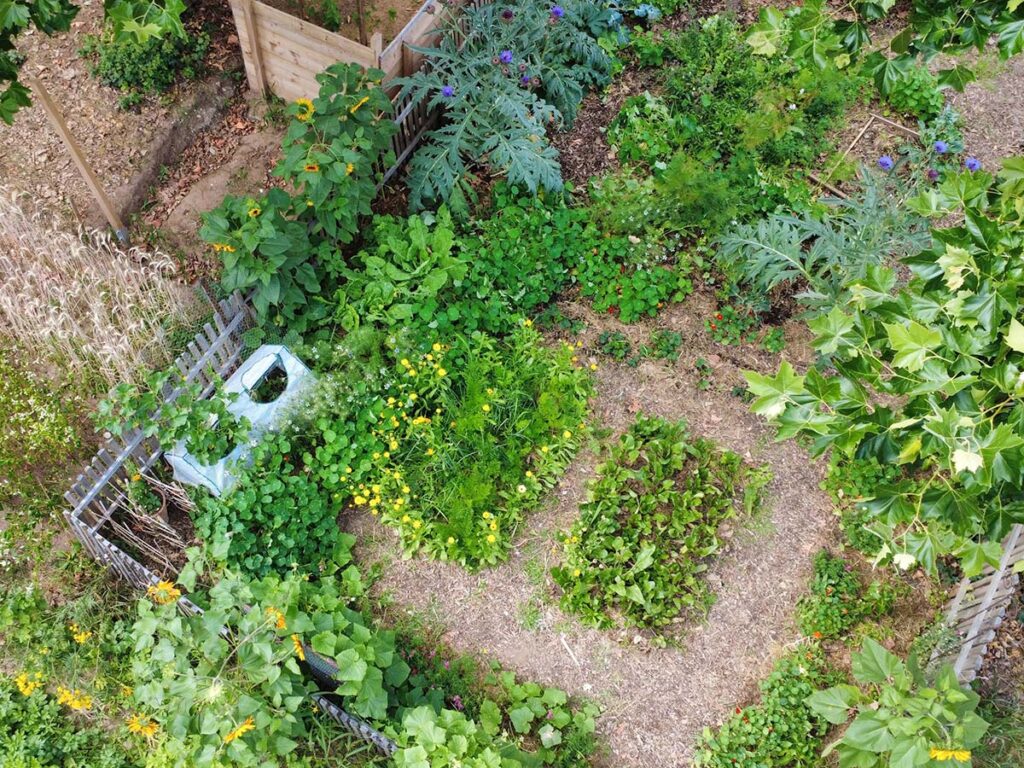 Ein Blick von oben in den Gemüsegarten auf dem Nürnberger Weltacker Gelände