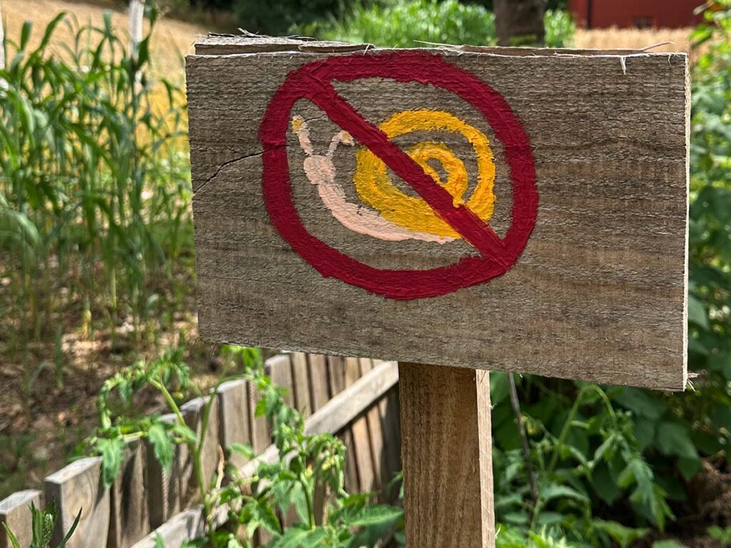 Schnecken verboten!
